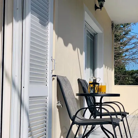 Olive Tree * Lefkáda