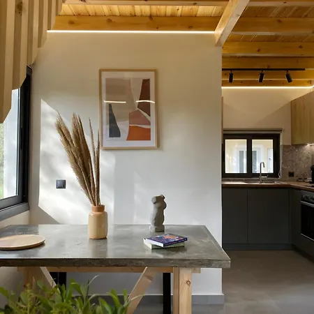 Olive Tree * Lefkáda