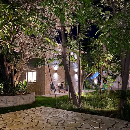 Διαμέρισμα Olive Tree *
