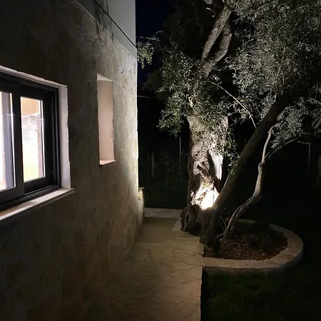 Olive Tree Διαμέρισμα *