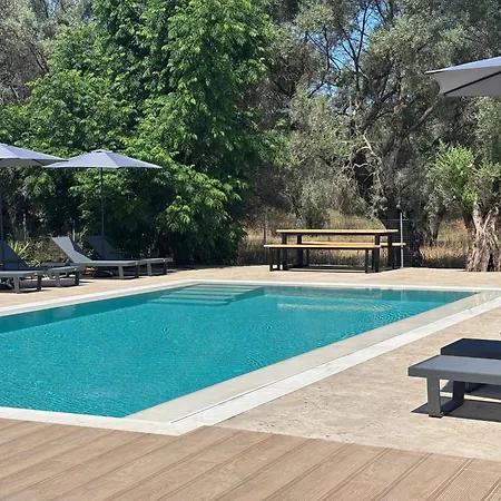 Apartman Olive Tree