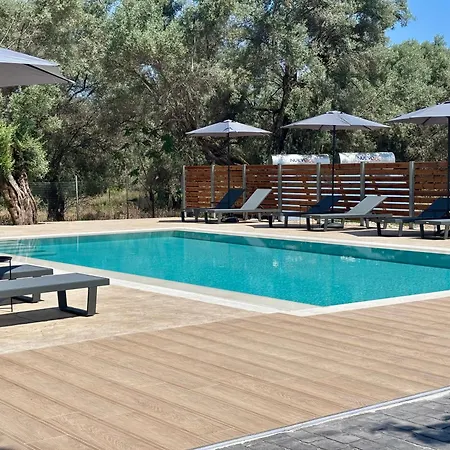 Apartman Olive Tree Lefkáda