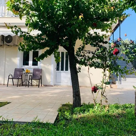 Olive Tree Apartment