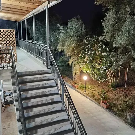 Olive Tree Apartment