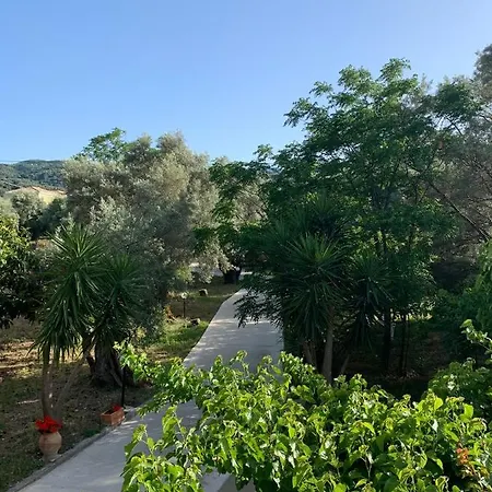 Olive Tree Apartment