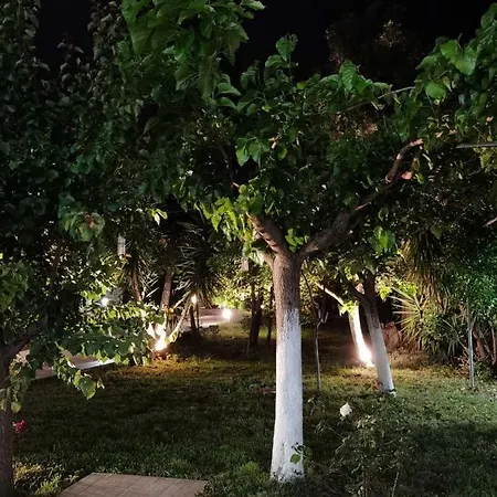 Olive Tree Apartment