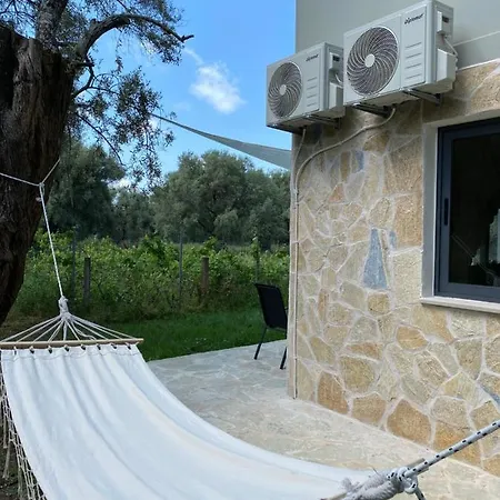 Olive Tree