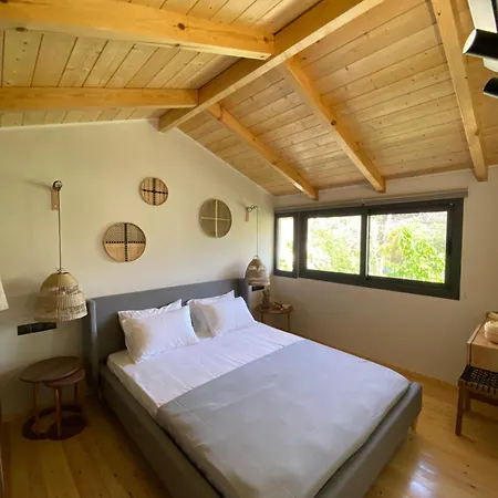 Olive Tree * Lefkáda