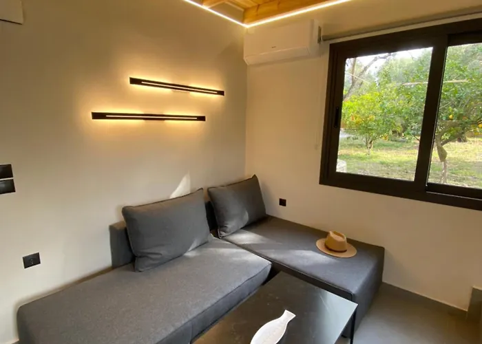 Apartament Olive Tree *